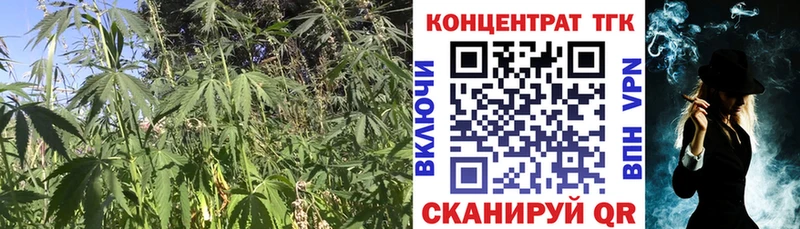 закладка Обоянь МЕГА как зайти ТГК вейп