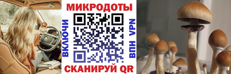 Псилоцибиновые грибы MAGIC MUSHROOMS  Обоянь 